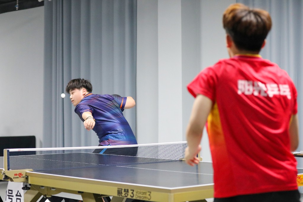 msn, jpg, entit msn, jpg, entit