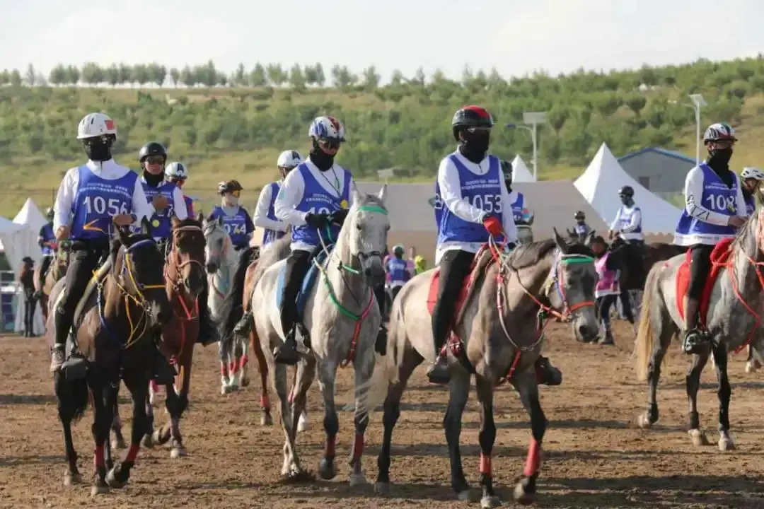 激战正酣, 点线, entit 激战正酣, 点线, entit