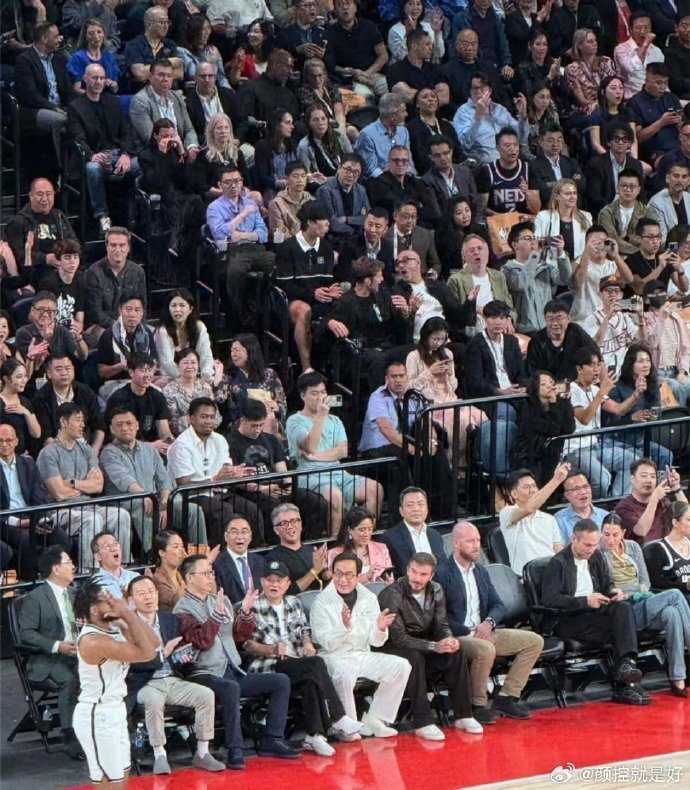 大鲨鱼, com 大鲨鱼, com